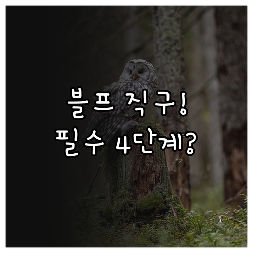 성공적인 2025 블랙프라이데이 직구..