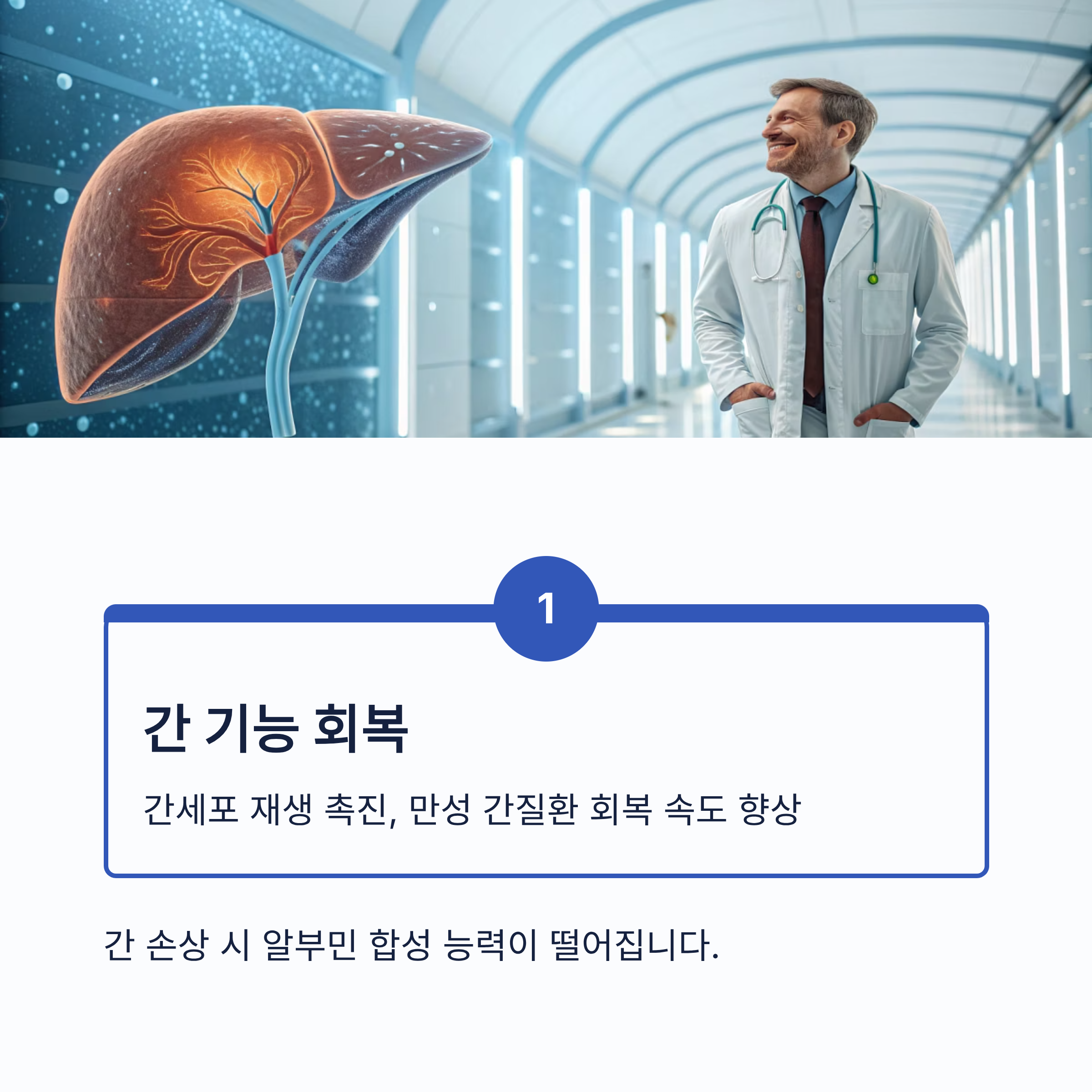 알부민의 효능 7가지|면역력·부종 개선·간 기능 회복까지, 건강의 핵심 단백질
