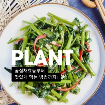 공심채 요리법과 영양 성분 및 건강 요리 팁 안내_17
