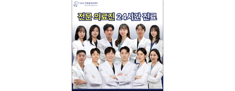 서울 강서구 동물병원