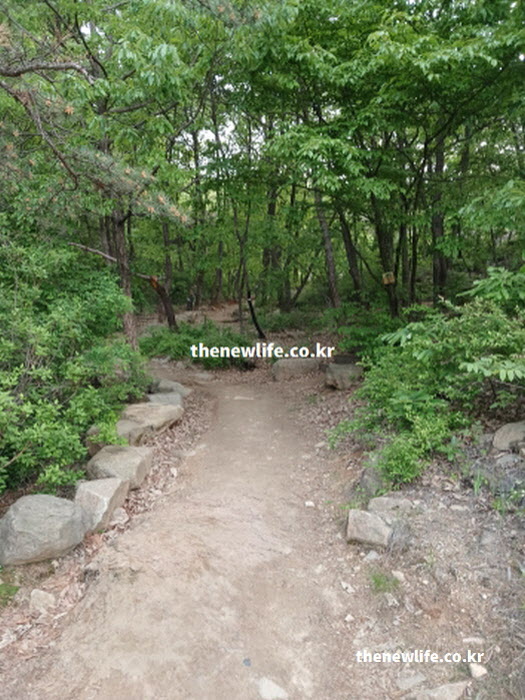 고혈압에 좋은 음식과 등산 운동