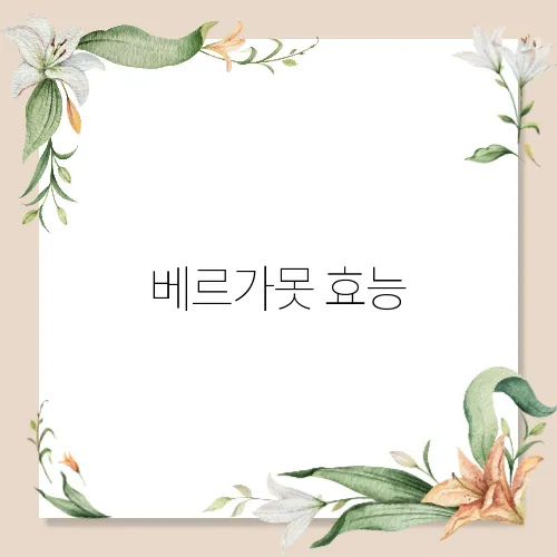 베르가못 효능