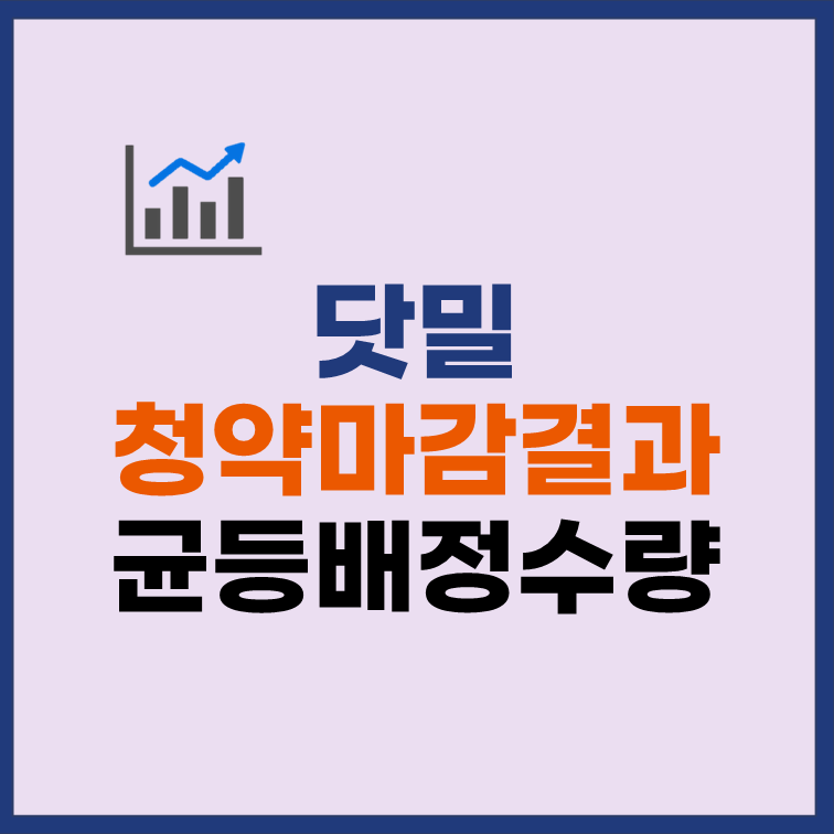 닷밀 균등배정 수량 청약 마감 결과