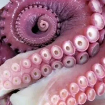 전현무계획2 문어숙회 수제비 골뱅이 맛집 위치 안내_6