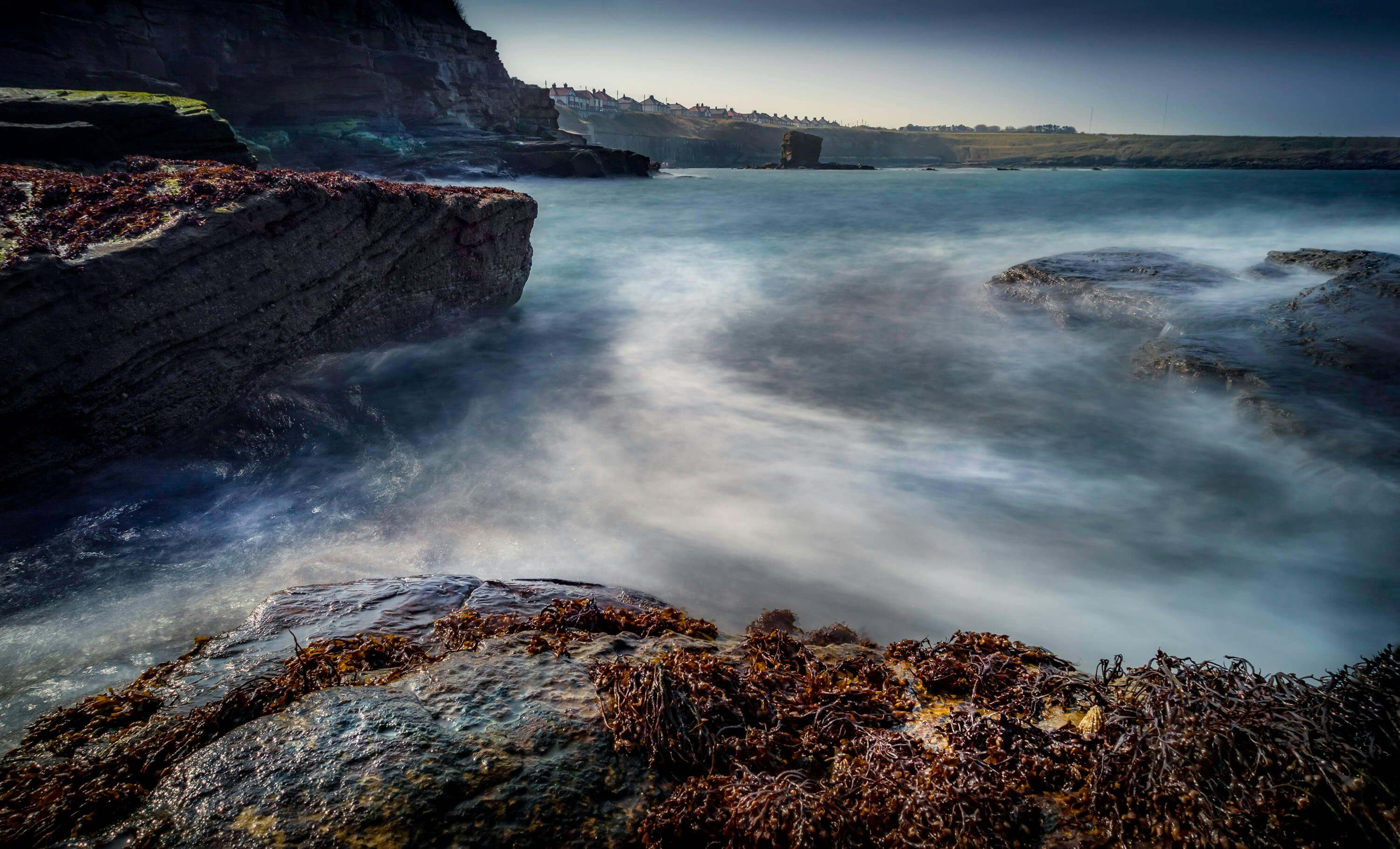 미역의-효능-중-항산화-작용하는-점과-관련된-사진