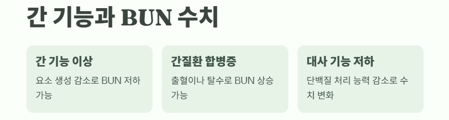 간 기능과 BUN수치- 간 기능 이상, 간질환 합병증, 대사 기능 저하