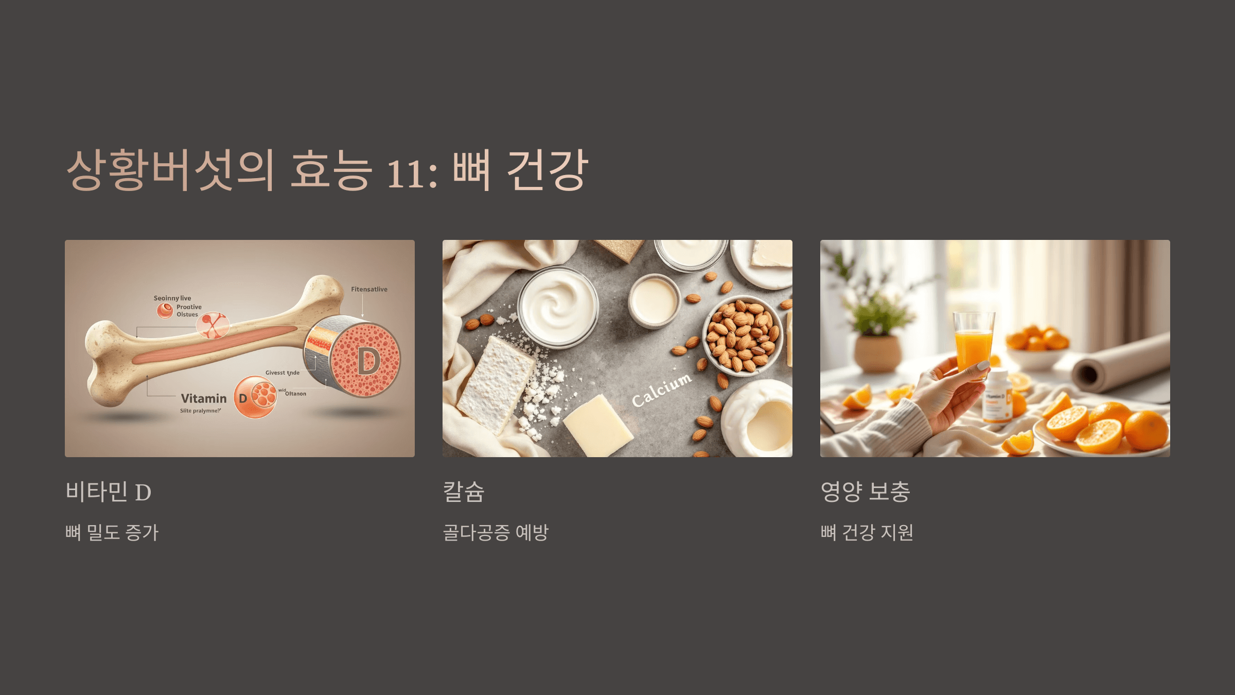 상황버섯과 관련된 사진입니다.