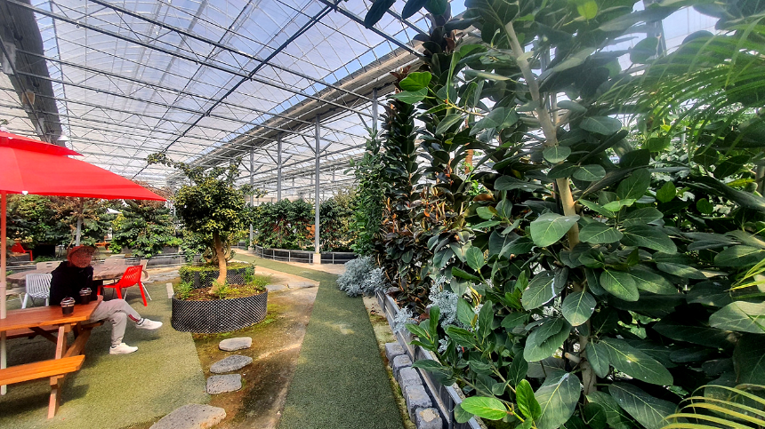 특색있고 아름다운 민간 정원 30선 추천 여행 - 25. 통영 동백커피식물원