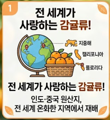 오렌지 효능