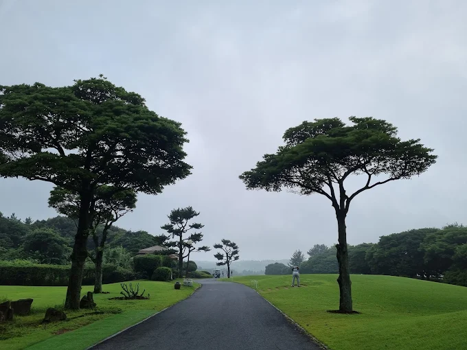 '캐슬렉스 제주 골프클럽' 소개 및 예약방법