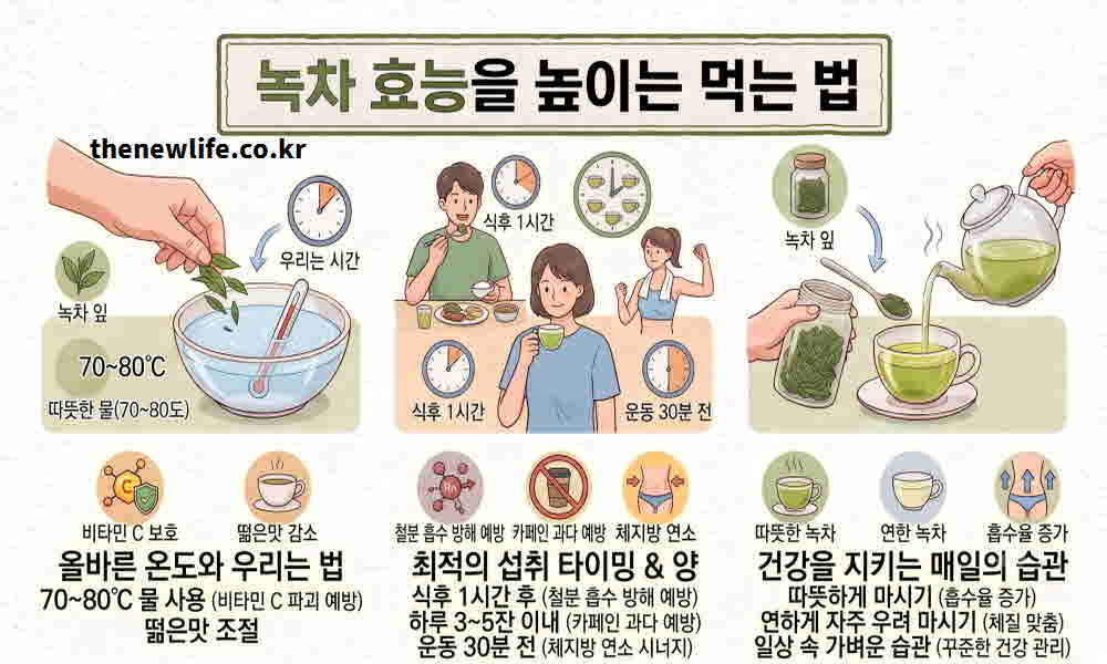 녹차 효능 높이는 먹는 법