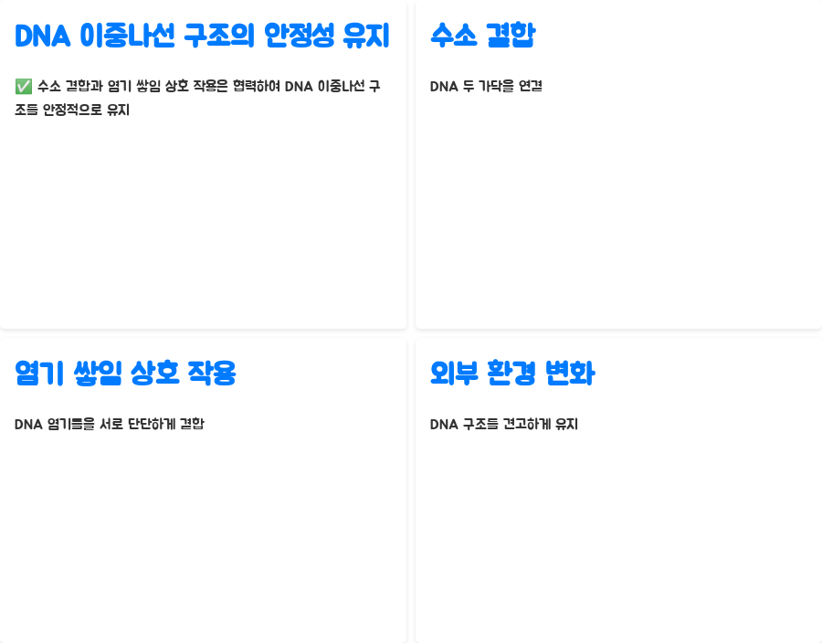 DNA 이중나선 구조, 왜 이렇게 안정적일까요? 분자생물학의 놀라운 비밀! - DNA 이중나선 구조의 안정성: 염기 쌓임 상호 작용의 힘 - 안정성 유지의 협력: 수소 결합과 염기 쌓임 상호 작용