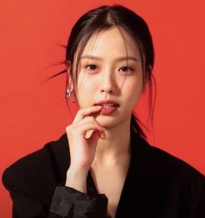 고민시 배우