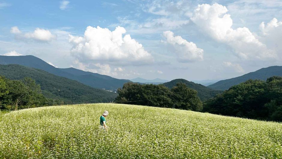영남알프스 산군
