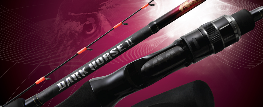 NS Blackhole 에깅대 사진