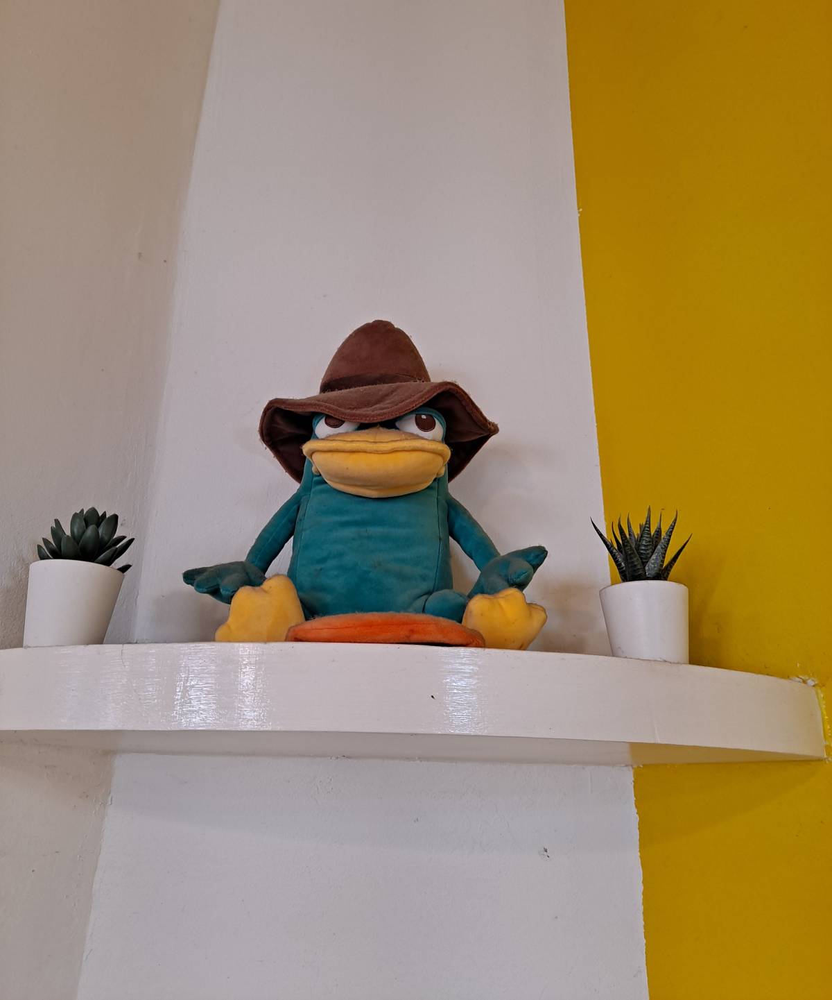 또스뜨 미운오리 인형