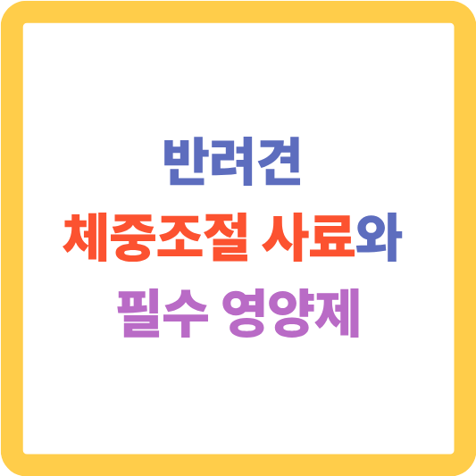 반려견 체중조절 사료와 필수 영양제