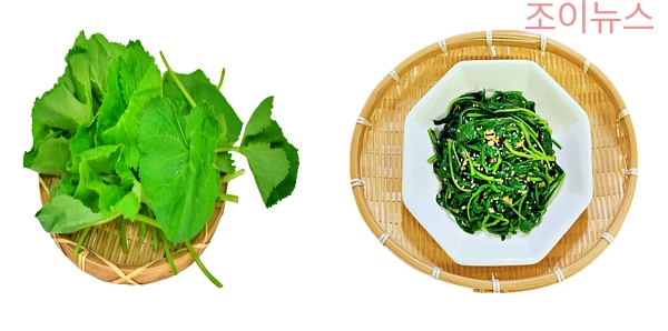 취나물(곰취)의 특징과 섭취방법