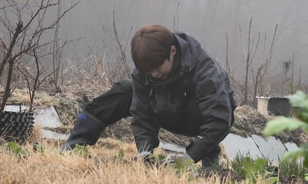 나혼산 배인혁 일상