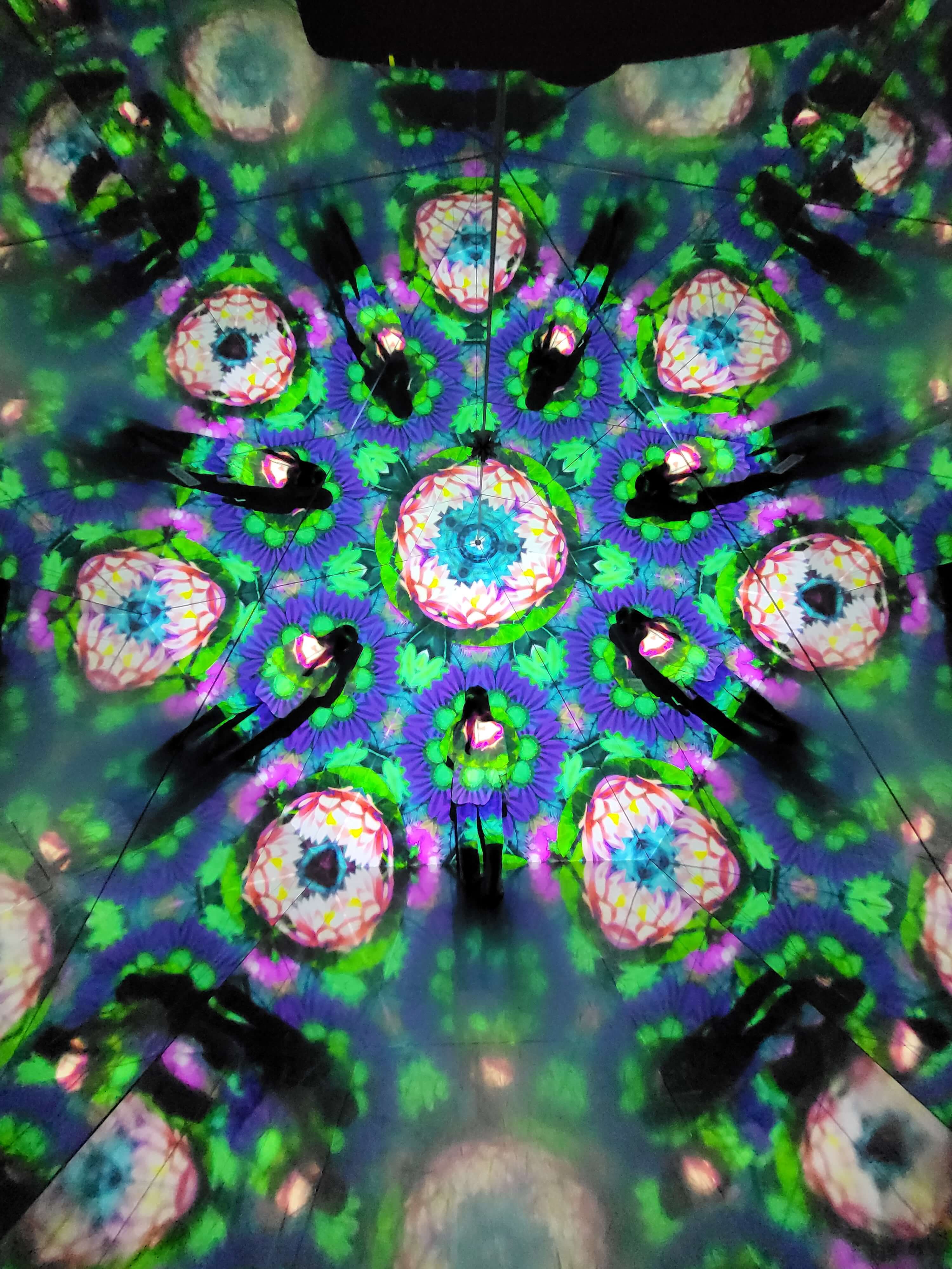 스타필드 매직플로우 원더래빗