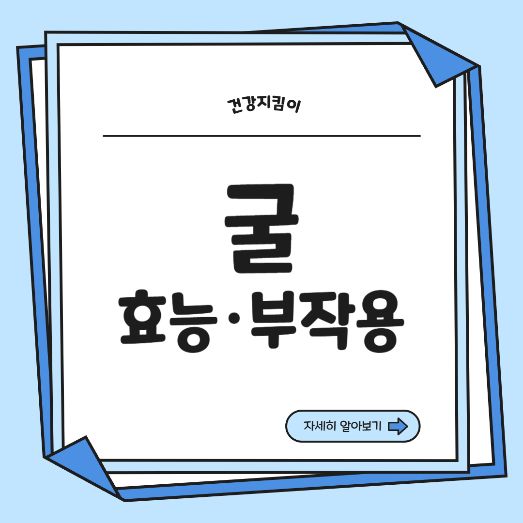굴 효능 부작용 칼로리