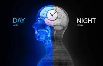 식물성 멜라토닌 효능_8