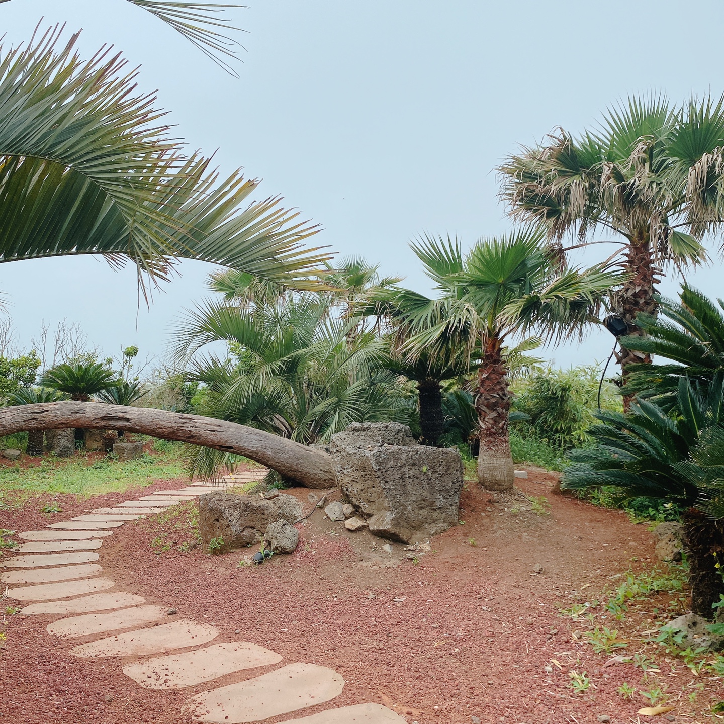 제주 서귀포 대정 서림연대 인스밀 곡물창고 개조카페 in's mill 보리개역 보리 청보리 제주 특산물