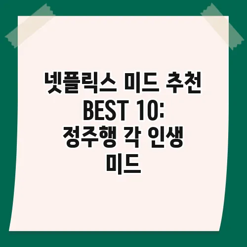 넷플릭스 미드 추천 BEST 10: 정주행 각 인생 미드