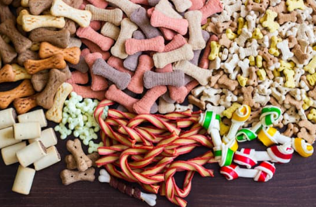 강아지 사료 추천 간식 선택 가이드