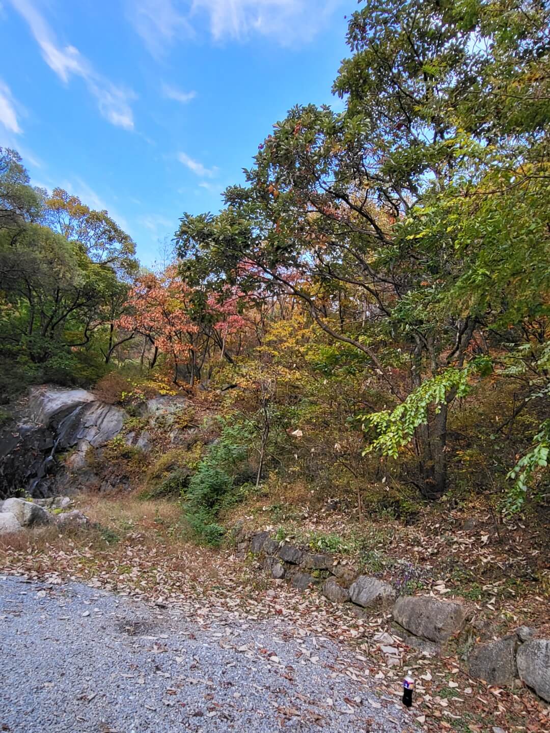 문경수예리캠핑장