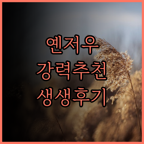 지닝 옌저우 비엔나 클래식 호텔 생생