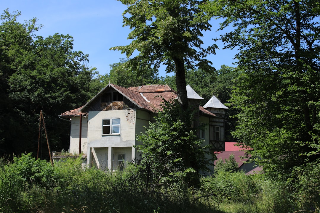 'House'