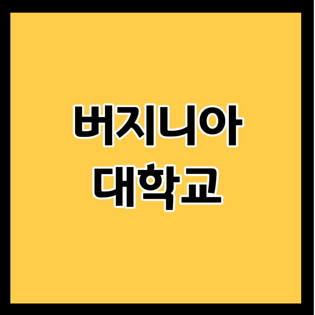 버지니아 대학교