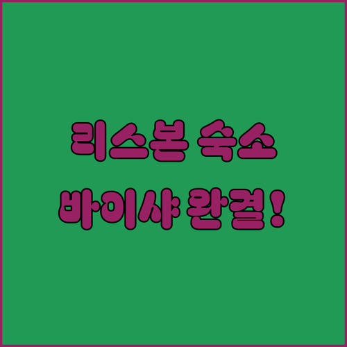 리스본 자유여행 바이샤 지역 인기 숙..