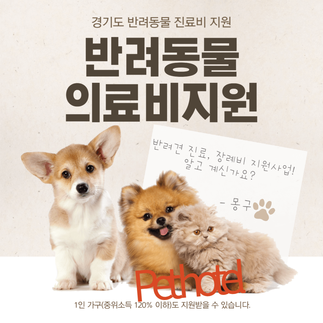 반려동물 진료비