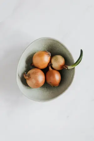 양파의 효능과 부작용