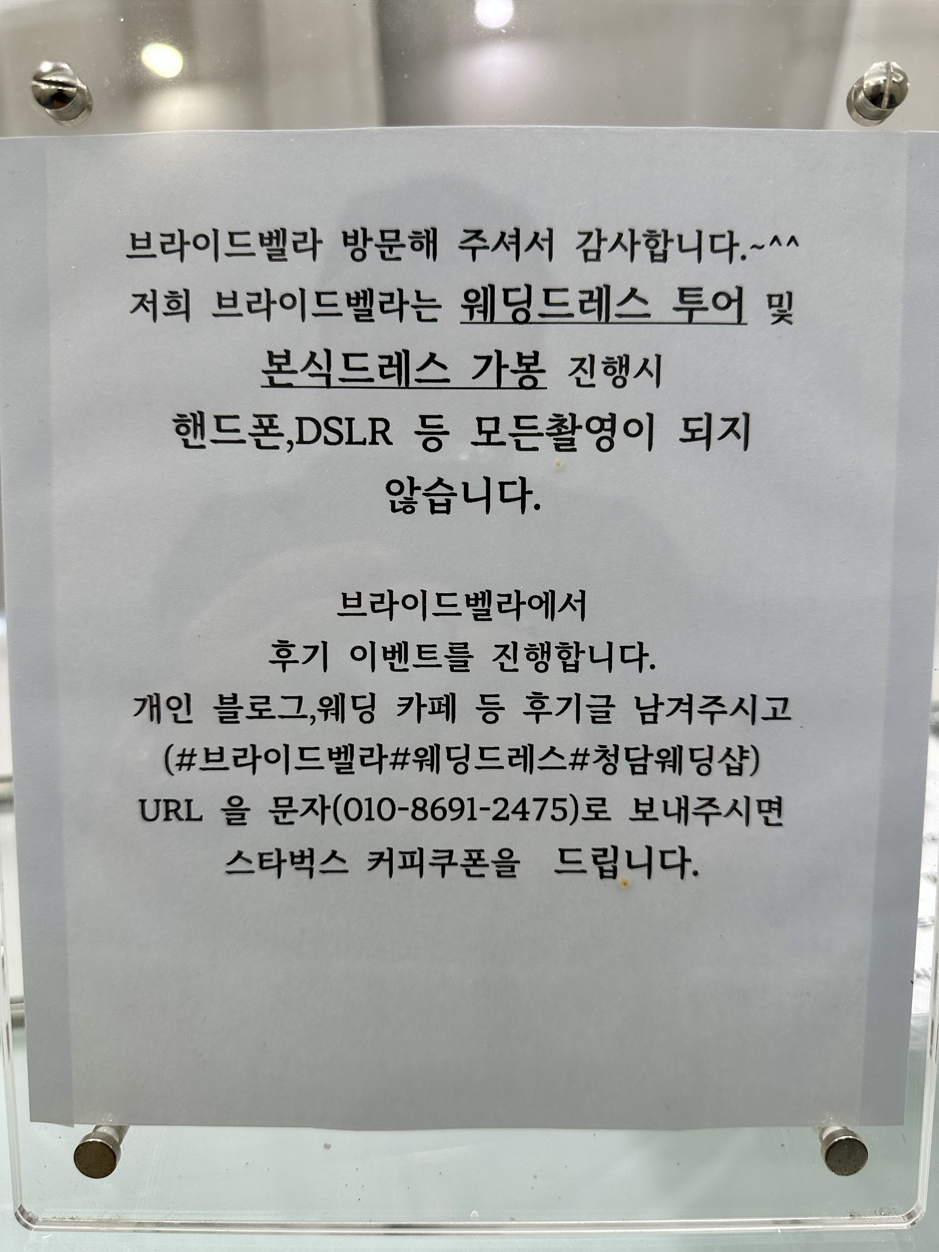 브라이드 벨라 후기 이벤트