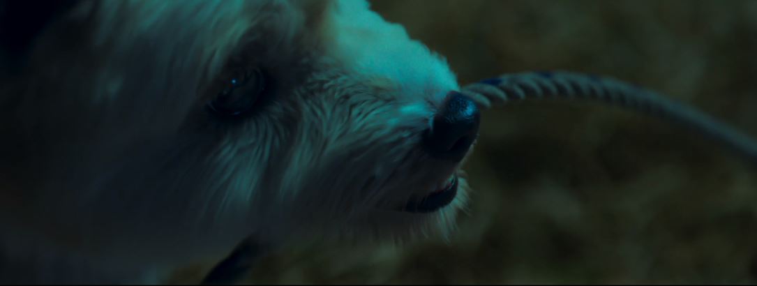 오늘도사랑스럽개_6회