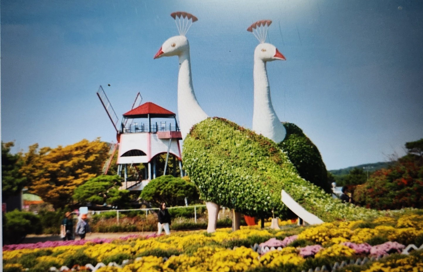 태안 꽃박람회