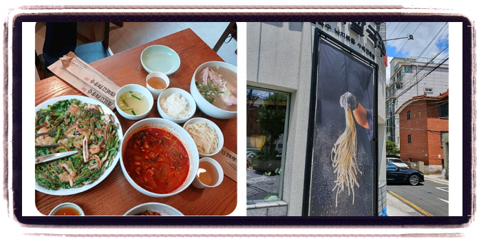 생방송 투데이 오픈런 닭칼국수 후기