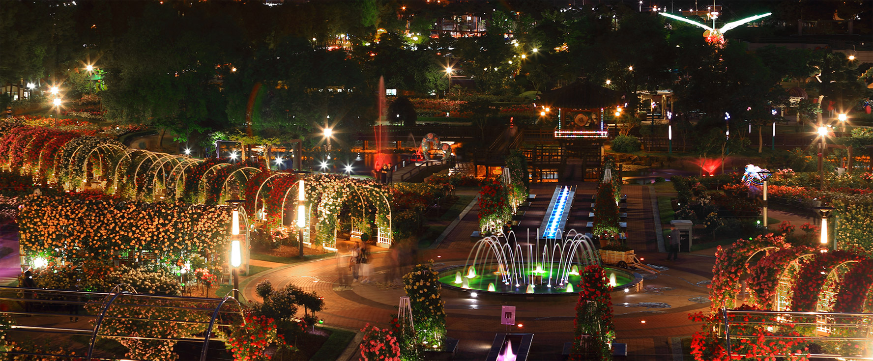 곡성장미축제 관련 사진 이미지