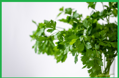 당뇨에 좋은 음식