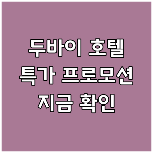 두바이 공항 근처 호텔 특가 프로모션