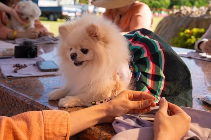 염주를 만드는 사람 옆에 강아지