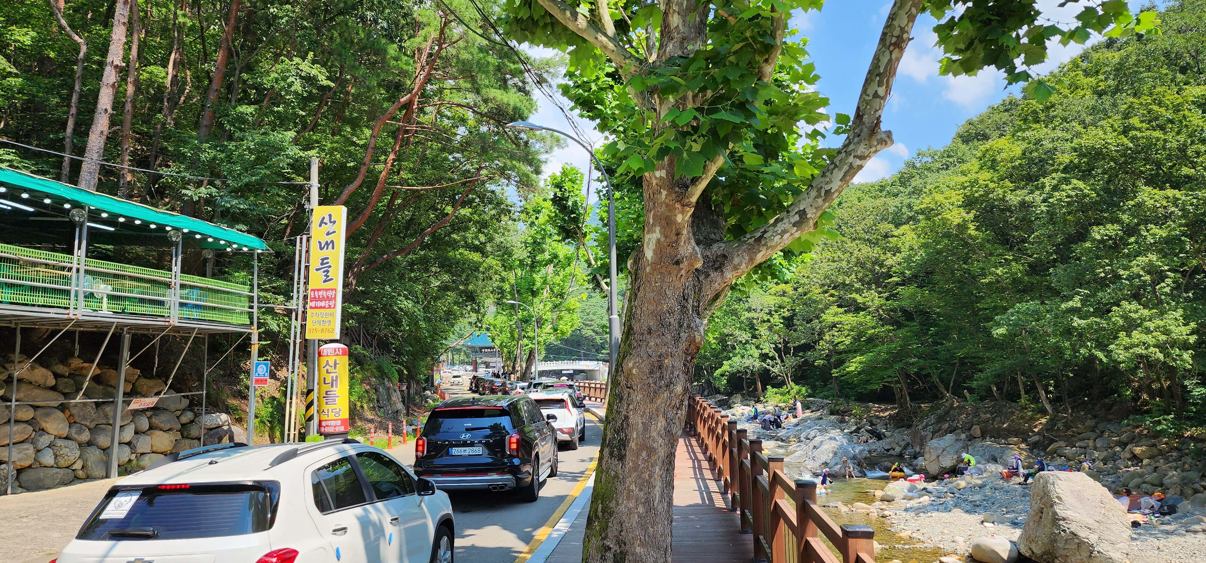 내원사계곡 산내들5