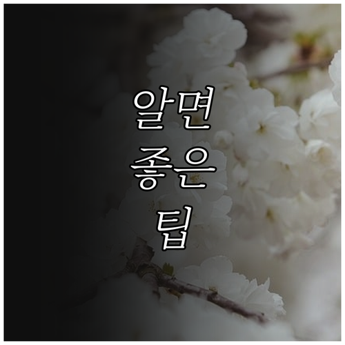 2025 안동시 입학준비금 지원 대상..