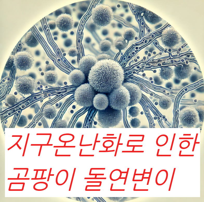 곰팡이돌연변이