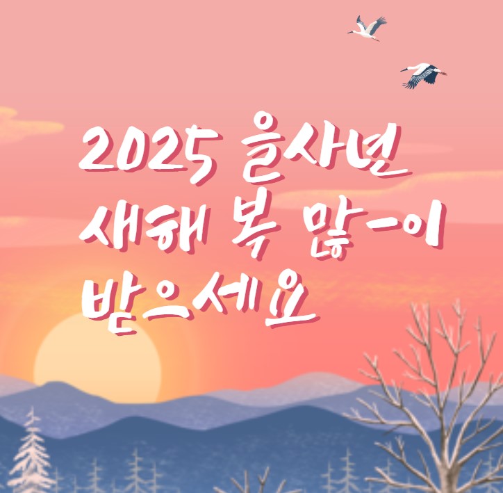 새해 인사말 모음 좋은글 2025년 새해인사 신년 문구