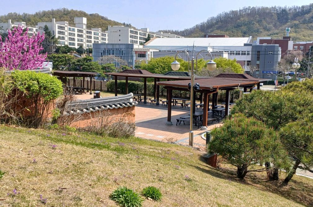 국립대구박물관