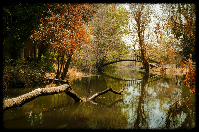 카스티용 전투와 이름 없는 포병 병사들